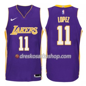 Muški NBA Dres Los Angeles Lakers Brook Lopez 11 Nike 2017-18 Ljubičasta Swingman